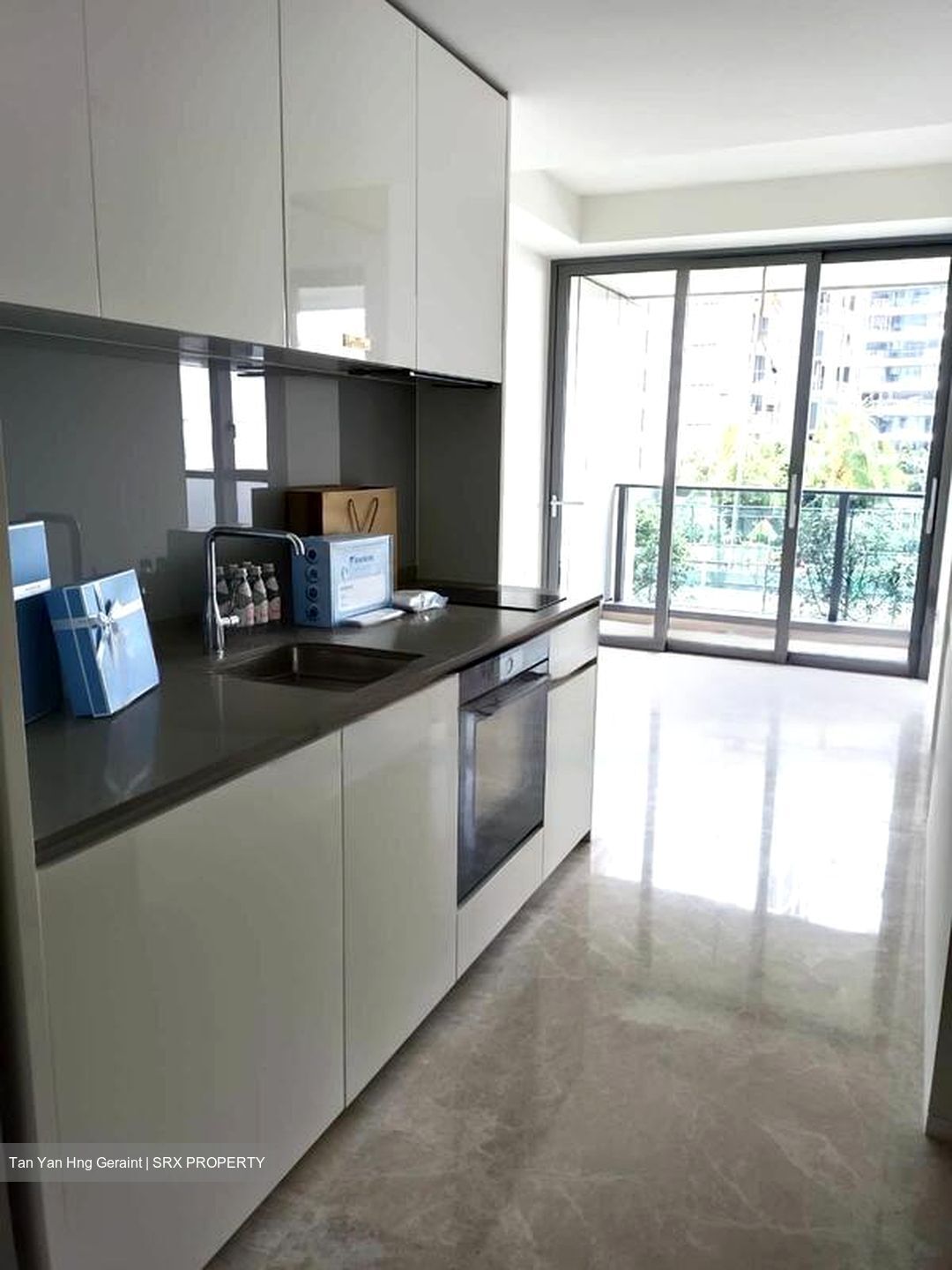 Amber Park (D15), Condominium #477218101